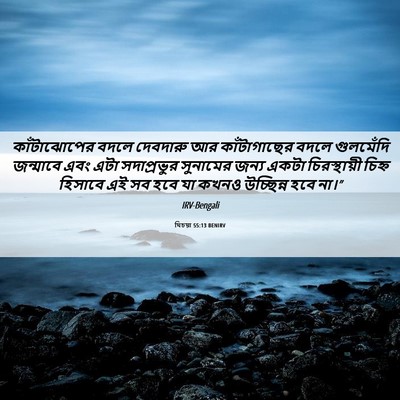 Picture 06 - যিচয়া 55:13 BENIRV - কাঁটাঝোপের বদলে - Bible Verse Picture