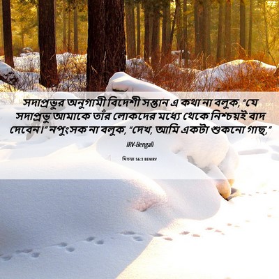Picture 06 - যিচয়া 56:3 BENIRV - সদাপ্রভুর অনুগামী - Bible Verse Picture