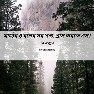 Picture 06 - যিচয়া 56:9 BENIRV - মাঠের ও বনের সব - Bible Verse Picture