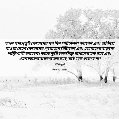 Picture 06 - যিচয়া 58:11 BENIRV - তখন সদাপ্রভুই - Bible Verse Picture