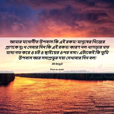 Picture 06 - যিচয়া 58:5 BENIRV - আমার মনোনীত উপবাস - Bible Verse Picture