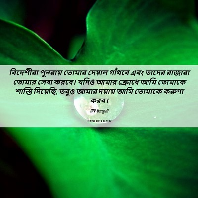 Picture 06 - যিচয়া 60:10 BENIRV - বিদেশীরা পুনরায় - Bible Verse Picture