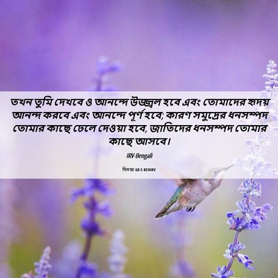 Picture 06 - যিচয়া 60:5 BENIRV - তখন তুমি দেখবে ও - Bible Verse Picture