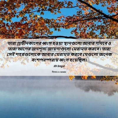 Picture 06 - যিচয়া 61:4 BENIRV - তারা প্রাচীনকালের - Bible Verse Picture