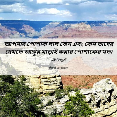 Picture 06 - যিচয়া 63:2 BENIRV - আপনার পোশাক লাল - Bible Verse Picture