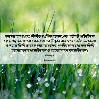 Picture 06 - যিচয়া 63:9 BENIRV - তাদের সব দুঃখে, - Bible Verse Picture