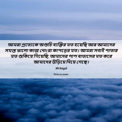 Picture 06 - যিচয়া 64:6 BENIRV - আমরা প্রত্যেকে - Bible Verse Picture
