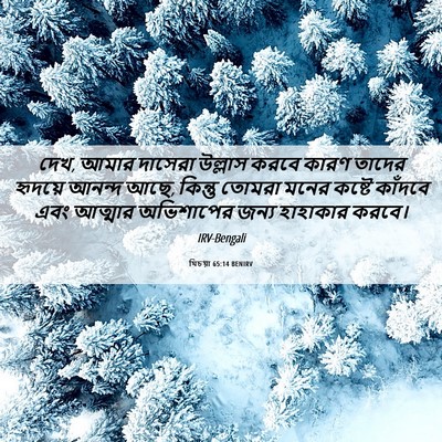 Picture 06 - যিচয়া 65:14 BENIRV - দেখ, আমার দাসেরা - Bible Verse Picture