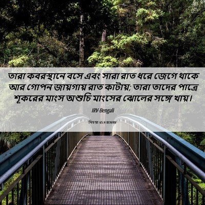 Picture 06 - যিচয়া 65:4 BENIRV - তারা কবরস্থানে - Bible Verse Picture