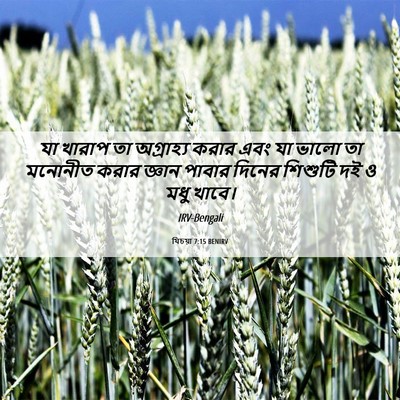 Picture 06 - যিচয়া 7:15 BENIRV - যা খারাপ তা - Bible Verse Picture