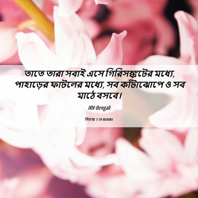 Picture 06 - যিচয়া 7:19 BENIRV - তাতে তারা সবাই এসে - Bible Verse Picture