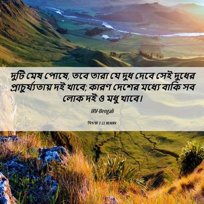 Picture 06 - যিচয়া 7:22 BENIRV - দুটি মেষ পোষে, তবে - Bible Verse Picture