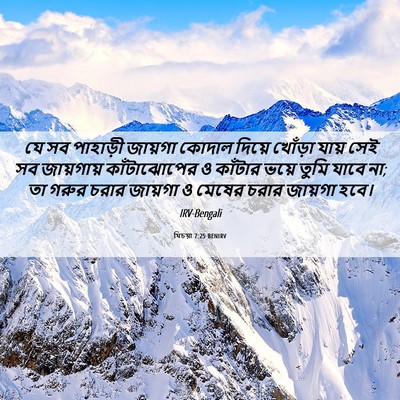 Picture 06 - যিচয়া 7:25 BENIRV - যে সব পাহাড়ী - Bible Verse Picture