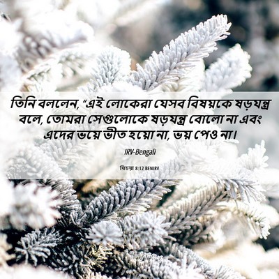 Picture 06 - যিচয়া 8:12 BENIRV - তিনি বললেন, “এই - Bible Verse Picture