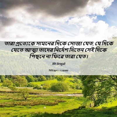 Picture 06 - যিহিষ্কেল 1:12 BENIRV - তারা প্রত্যেকে - Bible Verse Picture