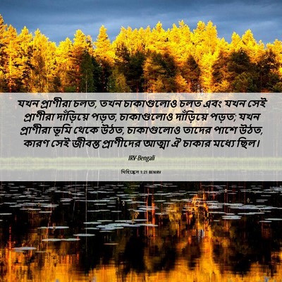 Picture 06 - যিহিষ্কেল 1:21 BENIRV - যখন প্রাণীরা চলত, - Bible Verse Picture