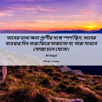 Picture 06 - যিহিষ্কেল 1:9 BENIRV - তাদের ডানা অন্য - Bible Verse Picture