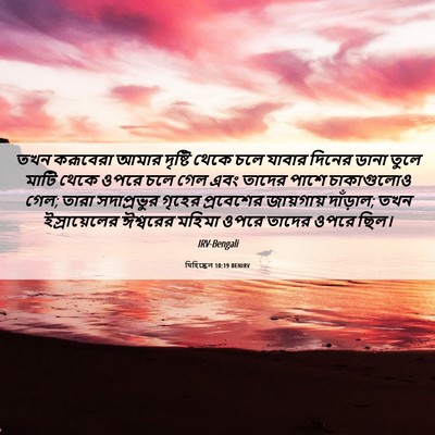 Picture 06 - যিহিষ্কেল 10:19 BENIRV - তখন করূবেরা আমার - Bible Verse Picture