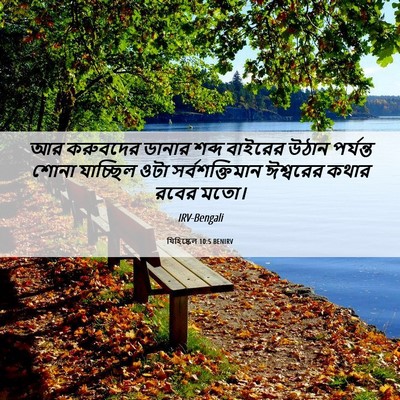 Picture 06 - যিহিষ্কেল 10:5 BENIRV - আর করুবদের ডানার - Bible Verse Picture