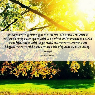 Picture 06 - যিহিষ্কেল 11:16 BENIRV - অতএব বল, প্রভু - Bible Verse Picture