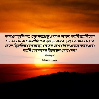 Picture 06 - যিহিষ্কেল 11:17 BENIRV - অতএব তুমি বল, প্রভু - Bible Verse Picture