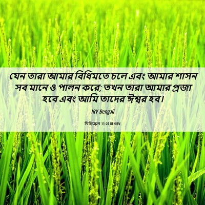 Picture 06 - যিহিষ্কেল 11:20 BENIRV - যেন তারা আমার - Bible Verse Picture