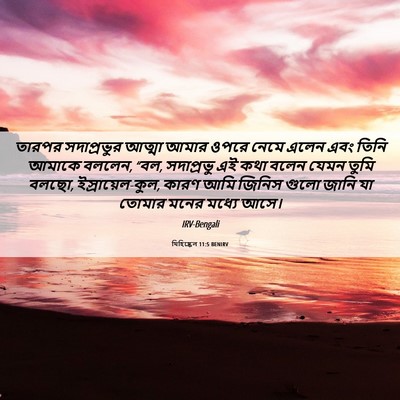 Picture 06 - যিহিষ্কেল 11:5 BENIRV - তারপর সদাপ্রভুর - Bible Verse Picture