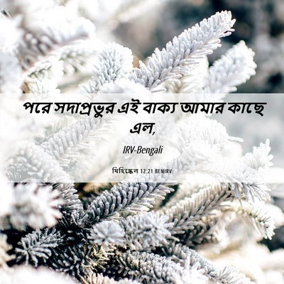 Picture 06 - যিহিষ্কেল 12:21 BENIRV - পরে সদাপ্রভুর এই - Bible Verse Picture