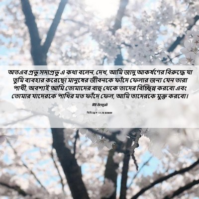 Picture 06 - যিহিষ্কেল 13:20 BENIRV - অতএব প্রভু - Bible Verse Picture