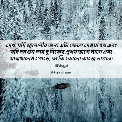Picture 06 - যিহিষ্কেল 15:4 BENIRV - দেখ, যদি জ্বালানীর - Bible Verse Picture
