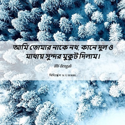Picture 06 - যিহিষ্কেল 16:12 BENIRV - আমি তোমার নাকে নথ, - Bible Verse Picture