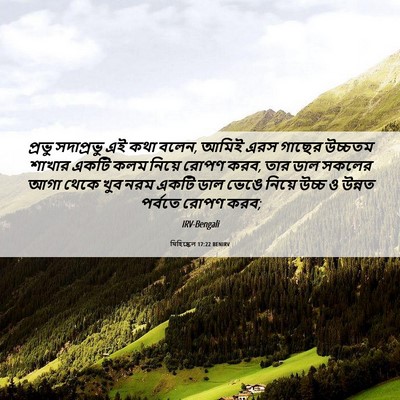 Picture 06 - যিহিষ্কেল 17:22 BENIRV - প্রভু সদাপ্রভু এই - Bible Verse Picture