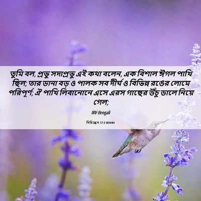 Picture 06 - যিহিষ্কেল 17:3 BENIRV - তুমি বল, প্রভু - Bible Verse Picture