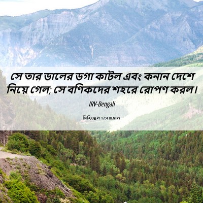 Picture 06 - যিহিষ্কেল 17:4 BENIRV - সে তার ডালের ডগা - Bible Verse Picture