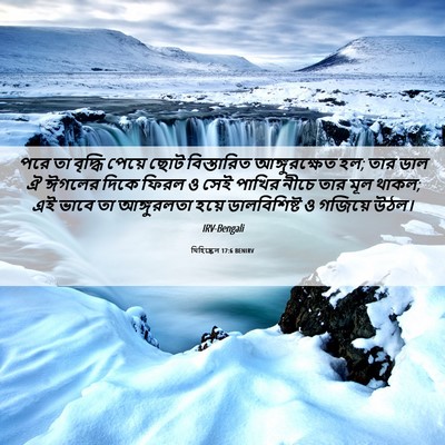 Picture 06 - যিহিষ্কেল 17:6 BENIRV - পরে তা বৃদ্ধি - Bible Verse Picture
