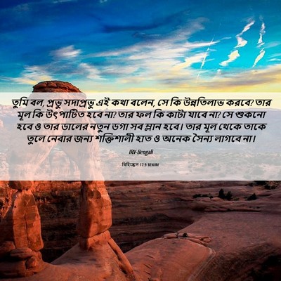 Picture 06 - যিহিষ্কেল 17:9 BENIRV - তুমি বল, প্রভু - Bible Verse Picture
