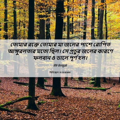 Picture 06 - যিহিষ্কেল 19:10 BENIRV - তোমার রক্তে তোমার - Bible Verse Picture
