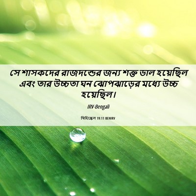 Picture 06 - যিহিষ্কেল 19:11 BENIRV - সে শাসকদের - Bible Verse Picture