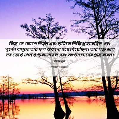 Picture 06 - যিহিষ্কেল 19:12 BENIRV - কিন্তু সে কোপে - Bible Verse Picture