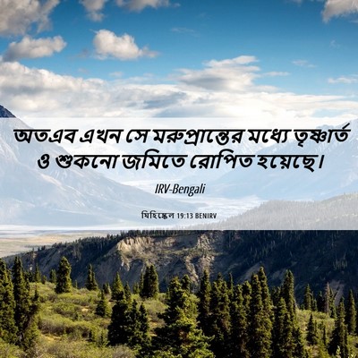 Picture 06 - যিহিষ্কেল 19:13 BENIRV - অতএব এখন সে - Bible Verse Picture