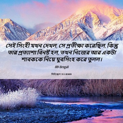 Picture 06 - যিহিষ্কেল 19:5 BENIRV - সেই সিংহী যখন দেখল, - Bible Verse Picture