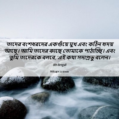 Picture 06 - যিহিষ্কেল 2:4 BENIRV - তাদের বংশধরদের - Bible Verse Picture
