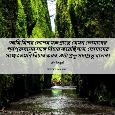 Picture 06 - যিহিষ্কেল 20:36 BENIRV - আমি মিশর দেশের - Bible Verse Picture