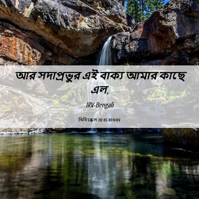 Picture 06 - যিহিষ্কেল 20:45 BENIRV - আর সদাপ্রভুর এই - Bible Verse Picture
