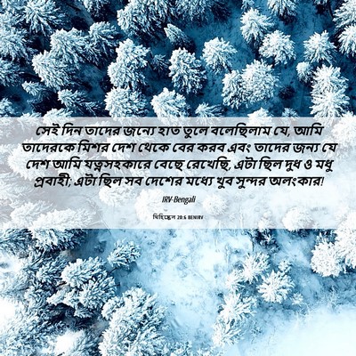 Picture 06 - যিহিষ্কেল 20:6 BENIRV - সেই দিন তাদের - Bible Verse Picture