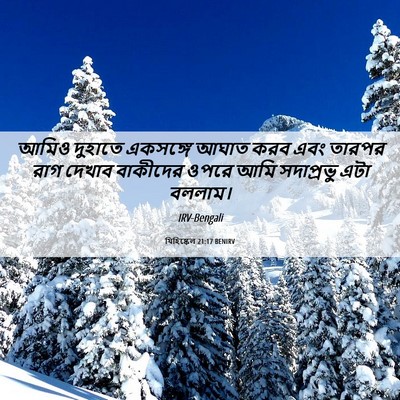 Picture 06 - যিহিষ্কেল 21:17 BENIRV - আমিও দুহাতে - Bible Verse Picture