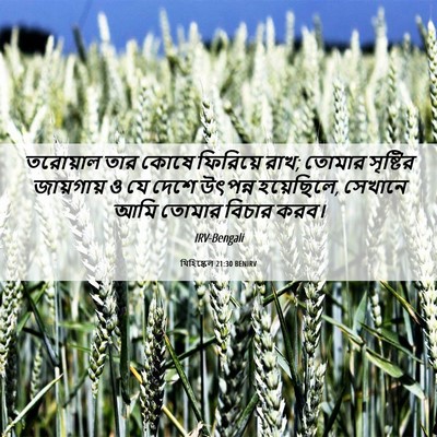 Picture 06 - যিহিষ্কেল 21:30 BENIRV - তরোয়াল তার কোষে - Bible Verse Picture
