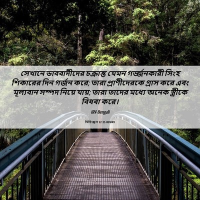 Picture 06 - যিহিষ্কেল 22:25 BENIRV - সেখানে ভাববাদীদের - Bible Verse Picture
