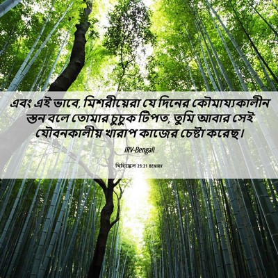Picture 06 - যিহিষ্কেল 23:21 BENIRV - এবং এই ভাবে, - Bible Verse Picture