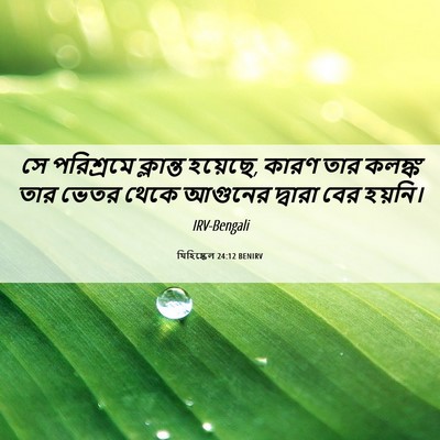 Picture 06 - যিহিষ্কেল 24:12 BENIRV - সে পরিশ্রমে - Bible Verse Picture